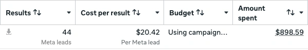 Meta Ads Manager: 44 leads, $20.42 per lead, $898.59 spent
